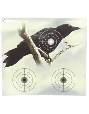 Crosman Varmint Full Color Paper Target, 9.75"X9", PDQ, 20 Pack