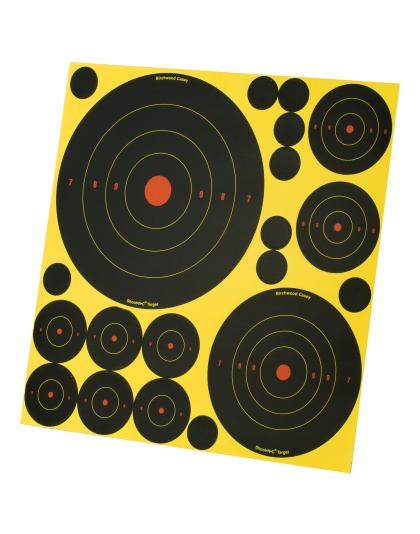 Birchwood Casey Shoot-N-C Target, Deluxe Variety Kit, 40-1" Pasters, 24-2", 8-3", 4-6", 4-8" Bullseye Targets, with Target Stand