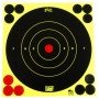 Pro-Shot Products Splatter Shot, 6" Bullseye, Adhesive Target, 12 Pack, Black/Green